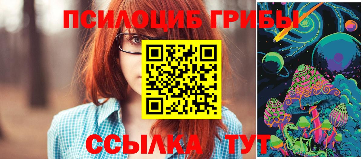 Псилоцибиновые грибы прущие грибы  Вход с VPN  Рославль  Галлюциногенные грибы MAGIC MUSHROOMS 